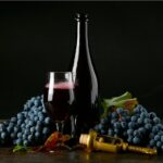Lambrusco: storia, tipologie e abbinamenti del vino emiliano